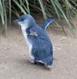 권동혁