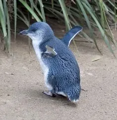 권동혁